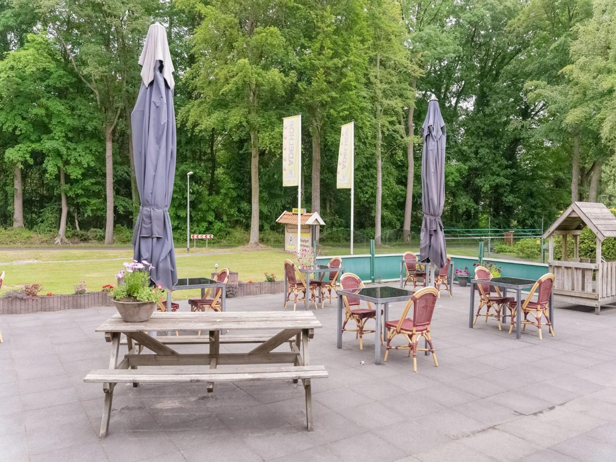 Beautiful Chalet In The Woods With A Shared Pool Vledder Eksteriør billede